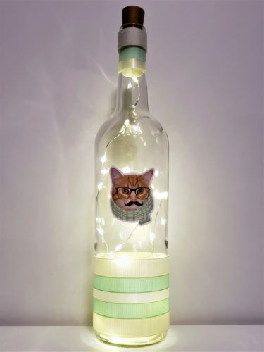 Bottle light with a cat wearing glasses and a scarf